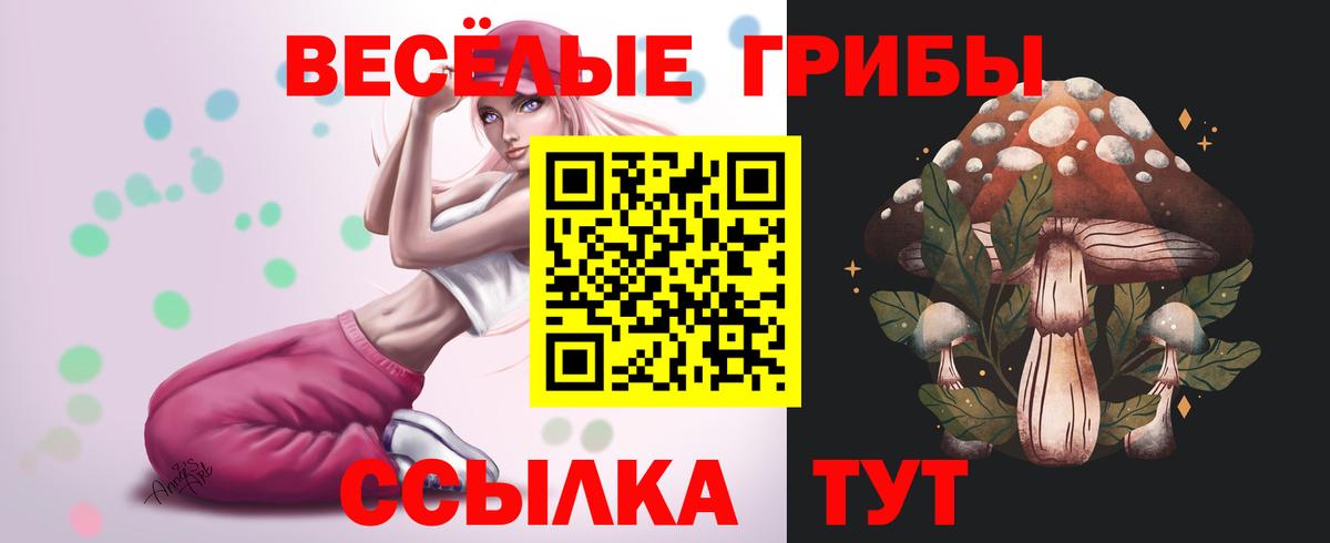 Галлюциногенные грибы Cubensis Лиски